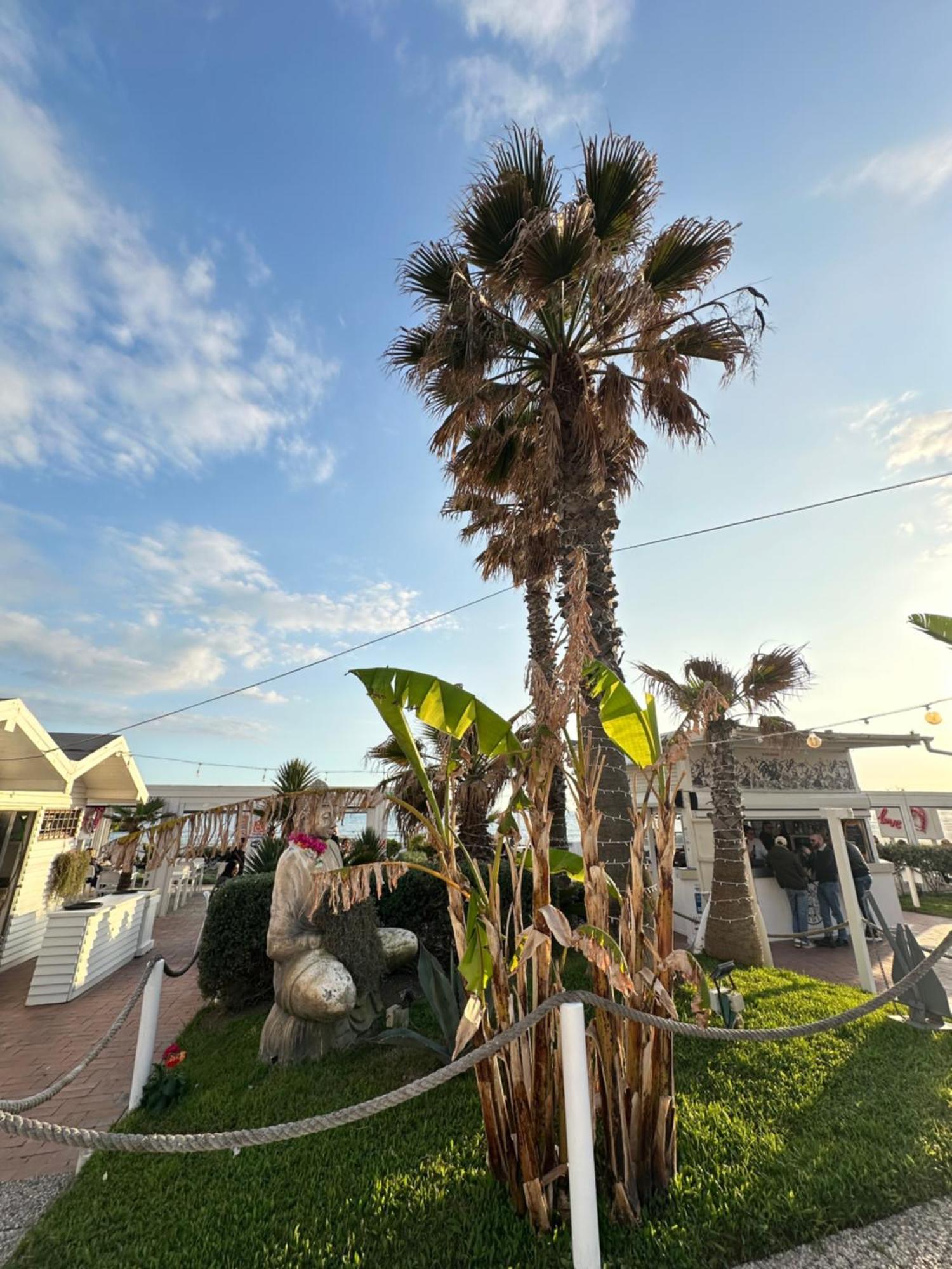 Penthouse Salus Sea View Terrace Apartamento Lido di Ostia Exterior foto